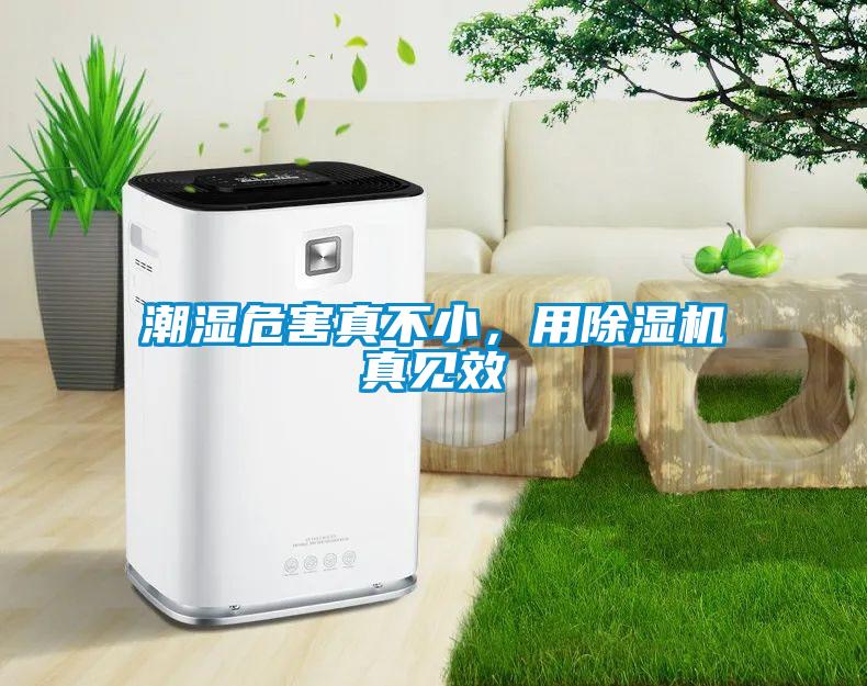 潮濕危害真不小，用除濕機真見效