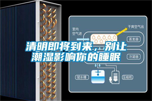 清明即將到來，別讓潮濕影響你的睡眠
