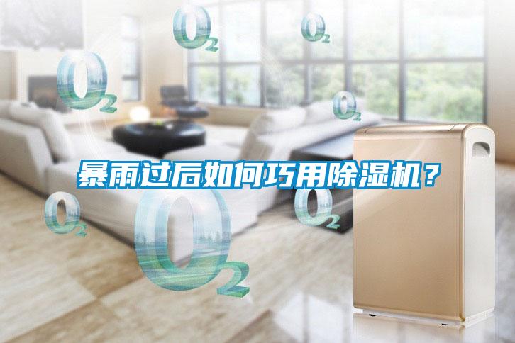 暴雨過后如何巧用除濕機？