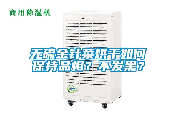 無硫金針菜烘干如何保持品相？不發(fā)黑？