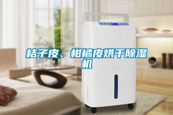 桔子皮、柑橘皮烘干除濕機(jī)