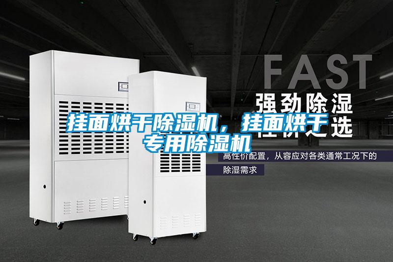 掛面烘干除濕機，掛面烘干專用除濕機