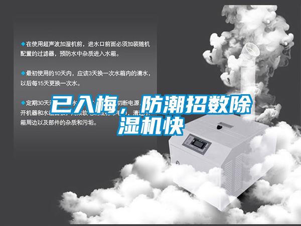 已入梅，防潮招數除濕機快