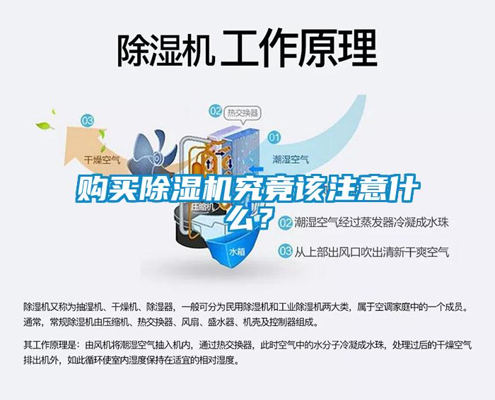 購(gòu)買除濕機(jī)究竟該注意什么？