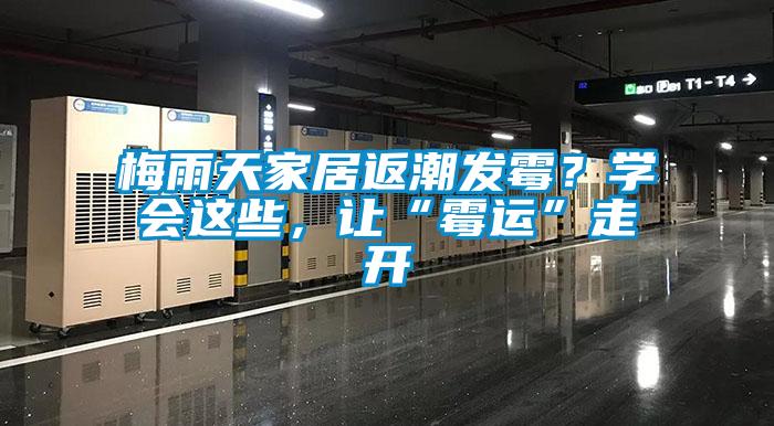 梅雨天家居返潮發霉？學會這些，讓“霉運”走開