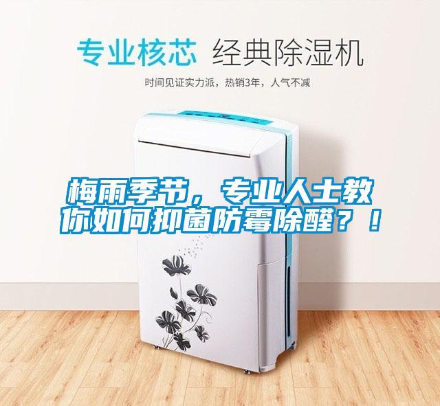 梅雨季節，專業人士教你如何抑菌防霉除醛？！