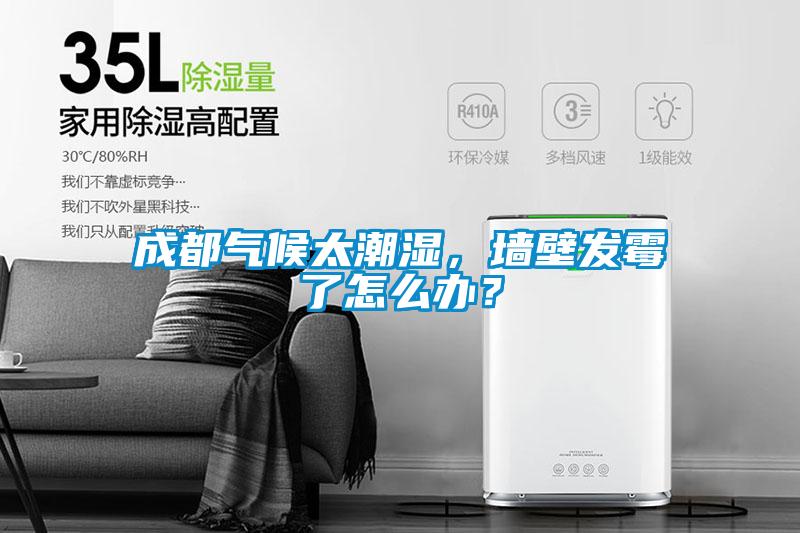 成都氣候太潮濕，墻壁發霉了怎么辦？