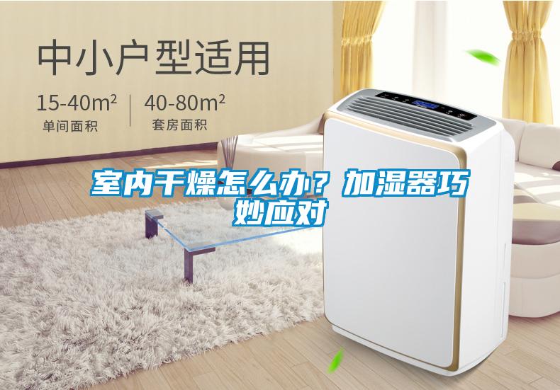 室內干燥怎么辦？加濕器巧妙應對