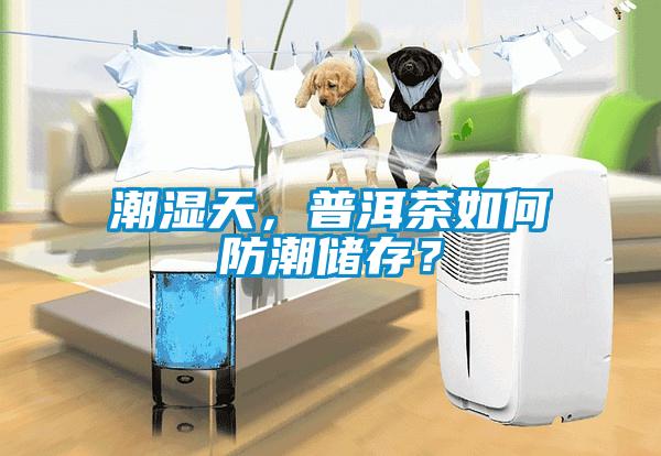 潮濕天，普洱茶如何防潮儲(chǔ)存？