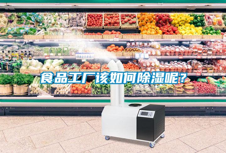 食品工廠該如何除濕呢？