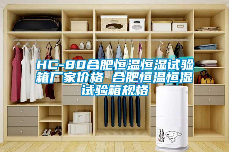 HC-80合肥恒溫恒濕試驗箱廠家價格 合肥恒溫恒濕試驗箱規格