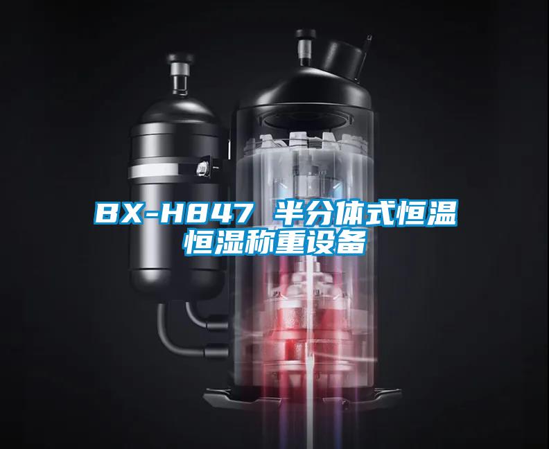 BX-H847 半分體式恒溫恒濕稱(chēng)重設(shè)備