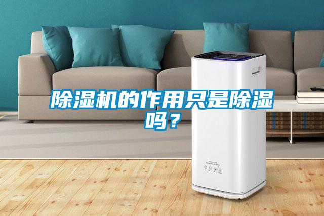除濕機的作用只是除濕嗎？