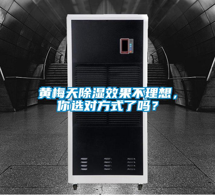 黃梅天除濕效果不理想，你選對方式了嗎？
