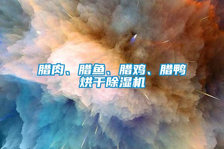 臘肉、臘魚、臘雞、臘鴨烘干除濕機