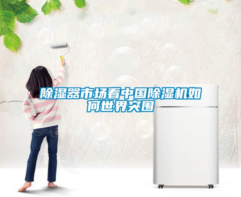 除濕器市場(chǎng)看中國(guó)除濕機(jī)如何世界突圍