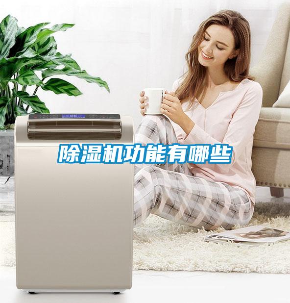 除濕機(jī)功能有哪些