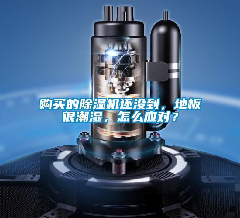 購買的除濕機還沒到，地板很潮濕，怎么應對？