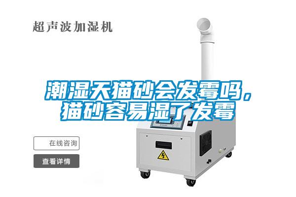 潮濕天貓砂會(huì)發(fā)霉嗎，貓砂容易濕了發(fā)霉