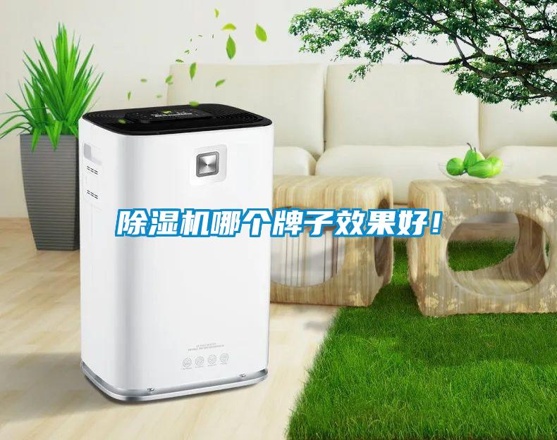除濕機(jī)哪個(gè)牌子效果好！