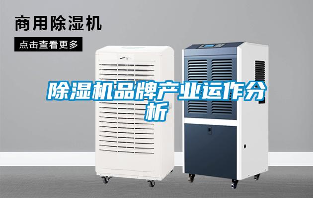 除濕機品牌產(chǎn)業(yè)運作分析