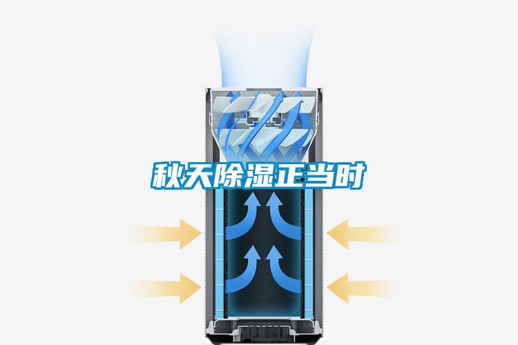 秋天除濕正當(dāng)時
