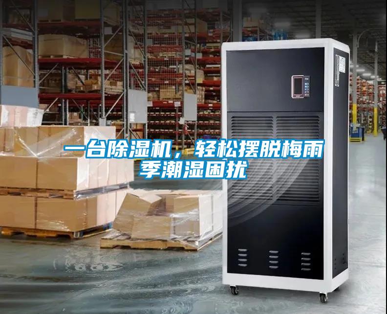 一臺除濕機，輕松擺脫梅雨季潮濕困擾