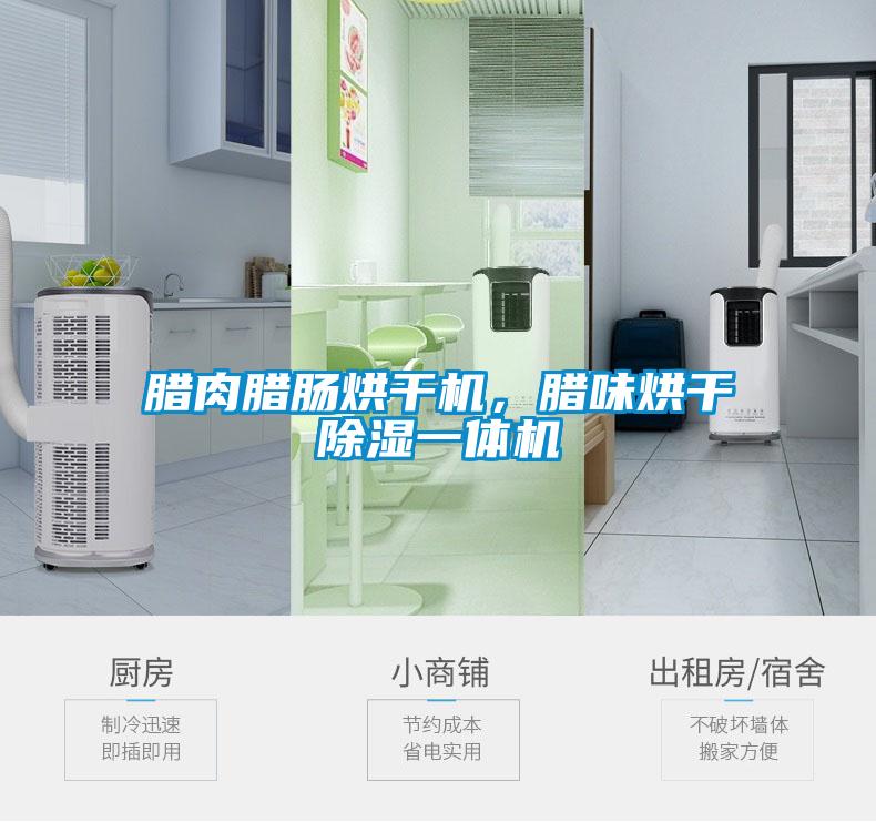 臘肉臘腸烘干機，臘味烘干除濕一體機