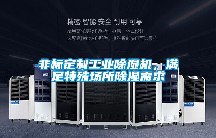 非標定制工業除濕機，滿足特殊場所除濕需求