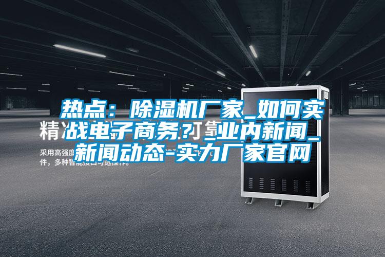 熱點(diǎn)：除濕機(jī)廠家_如何實(shí)戰(zhàn)電子商務(wù)？_業(yè)內(nèi)新聞_新聞動(dòng)態(tài)-實(shí)力廠家官網(wǎng)