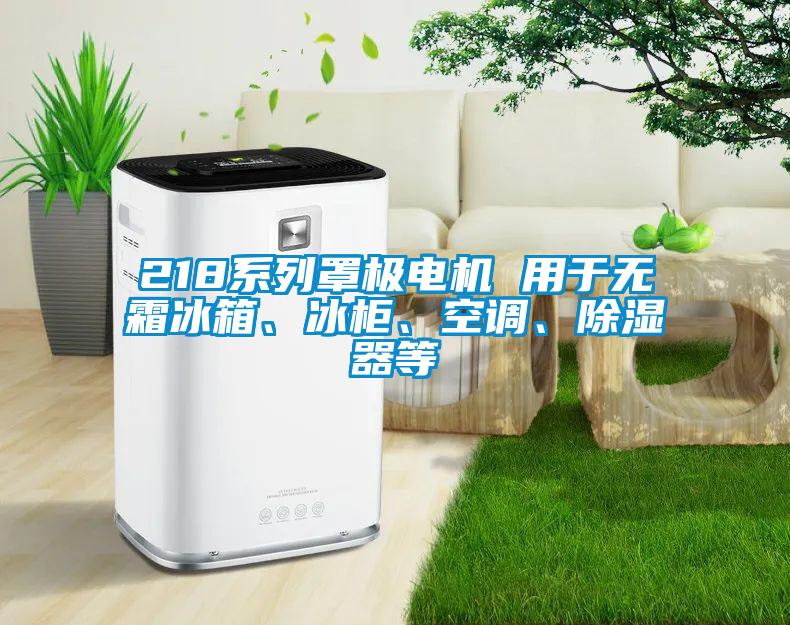 218系列罩極電機(jī) 用于無霜冰箱、冰柜、空調(diào)、除濕器等