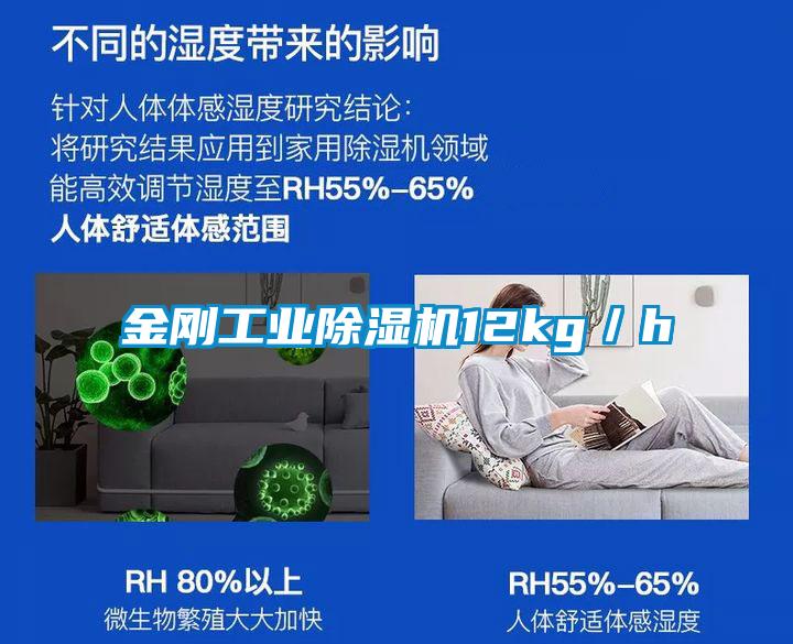 金剛工業(yè)除濕機12kg／h
