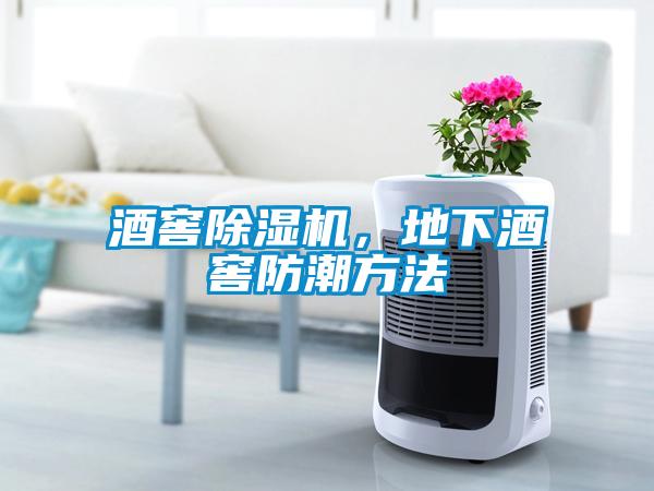 酒窖除濕機(jī)，地下酒窖防潮方法