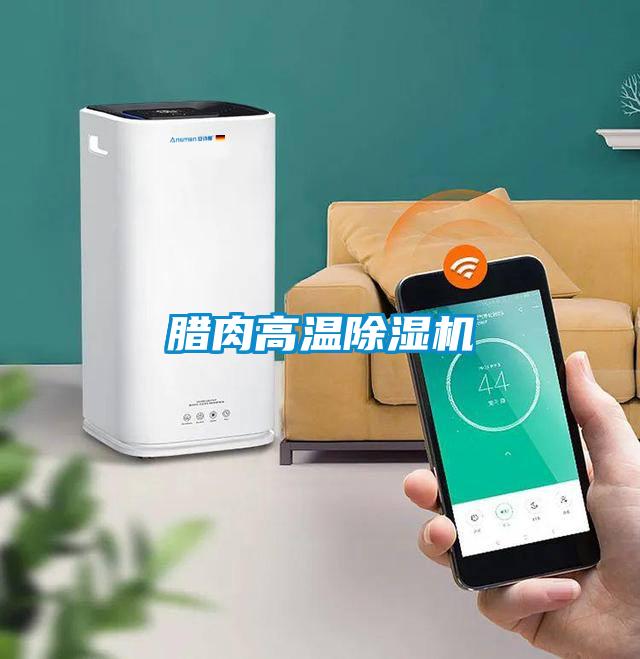 臘肉高溫除濕機