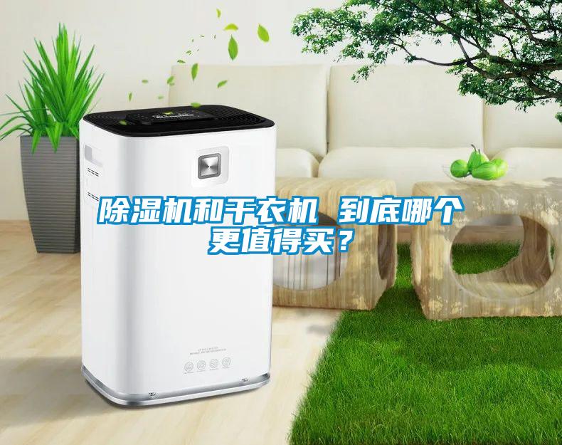 除濕機(jī)和干衣機(jī) 到底哪個(gè)更值得買？