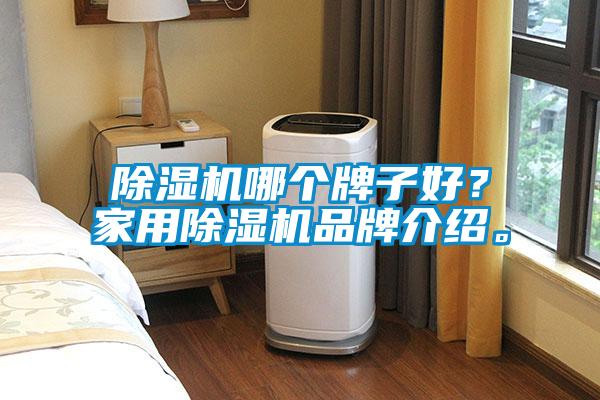 除濕機(jī)哪個(gè)牌子好？家用除濕機(jī)品牌介紹。