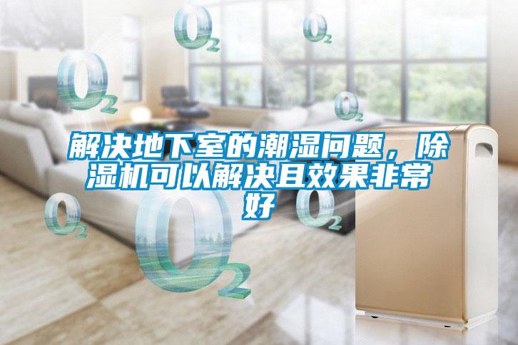 解決地下室的潮濕問題，除濕機可以解決且效果非常好
