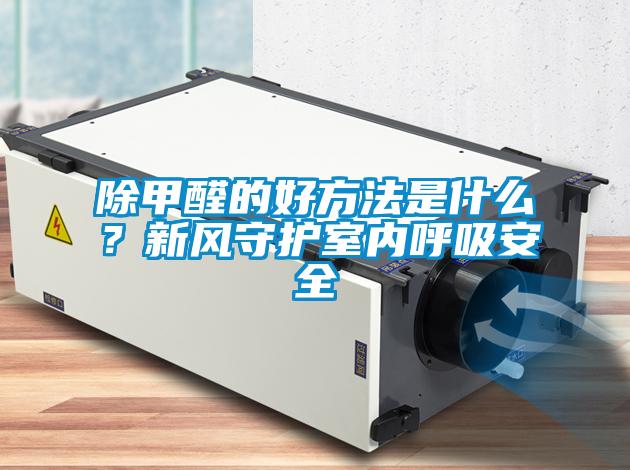 除甲醛的好方法是什么？新風守護室內(nèi)呼吸安全