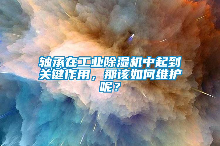軸承在工業(yè)除濕機(jī)中起到關(guān)鍵作用，那該如何維護(hù)呢？