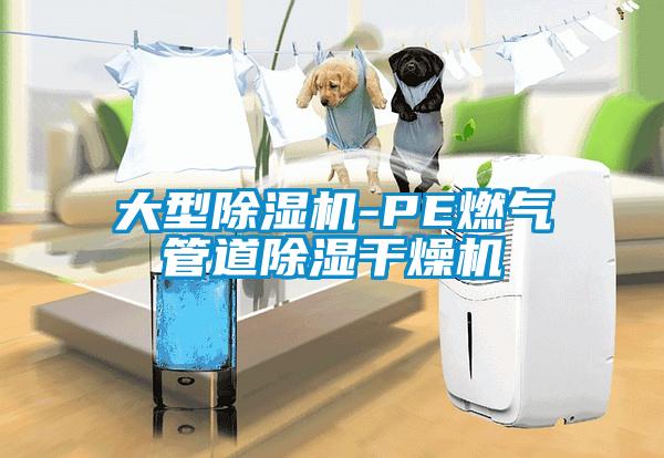大型除濕機-PE燃?xì)夤艿莱凉窀稍餀C
