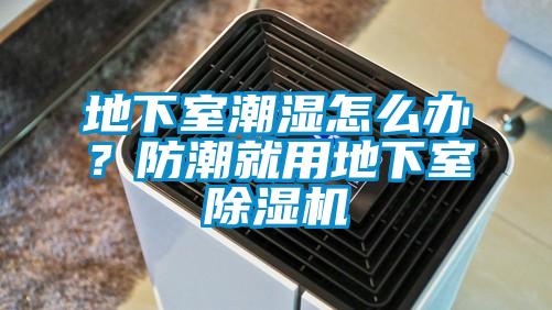 地下室潮濕怎么辦？防潮就用地下室除濕機(jī)