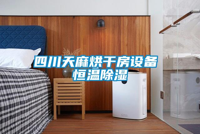 四川天麻烘干房設備 恒溫除濕