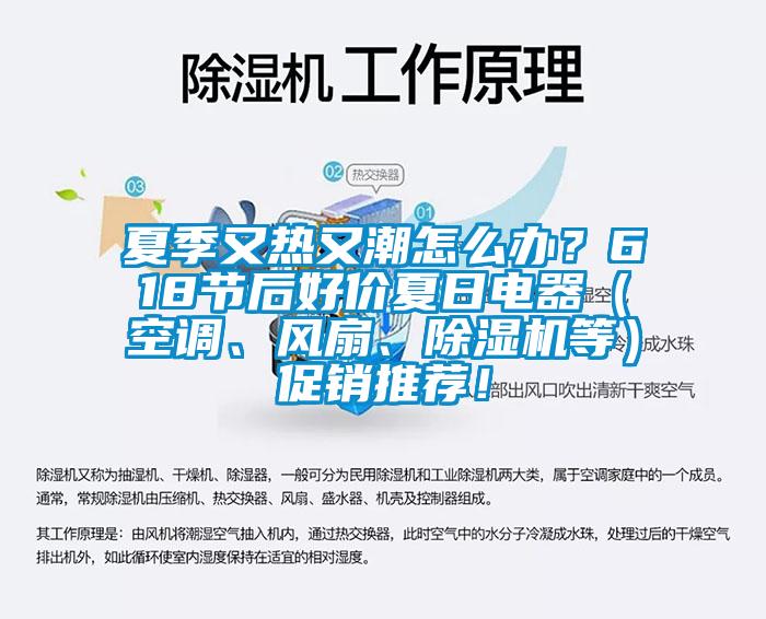 夏季又熱又潮怎么辦？618節(jié)后好價夏日電器（空調(diào)、風(fēng)扇、除濕機等）促銷推薦！