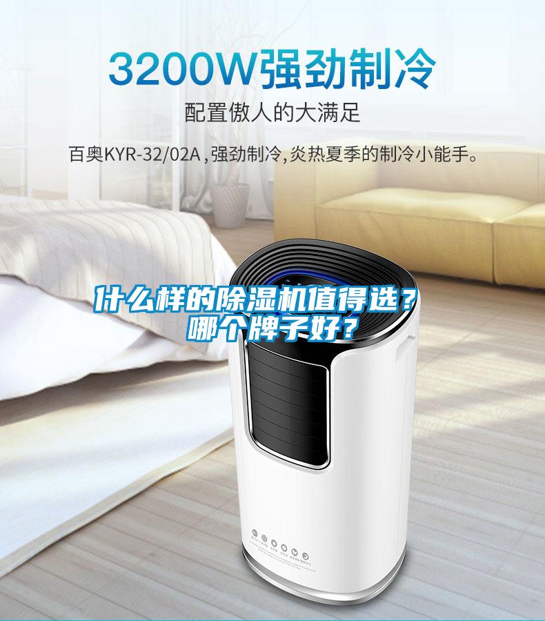 什么樣的除濕機(jī)值得選？ 哪個(gè)牌子好？