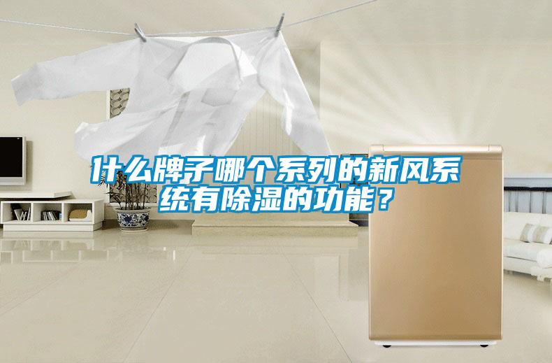什么牌子哪個(gè)系列的新風(fēng)系統(tǒng)有除濕的功能？