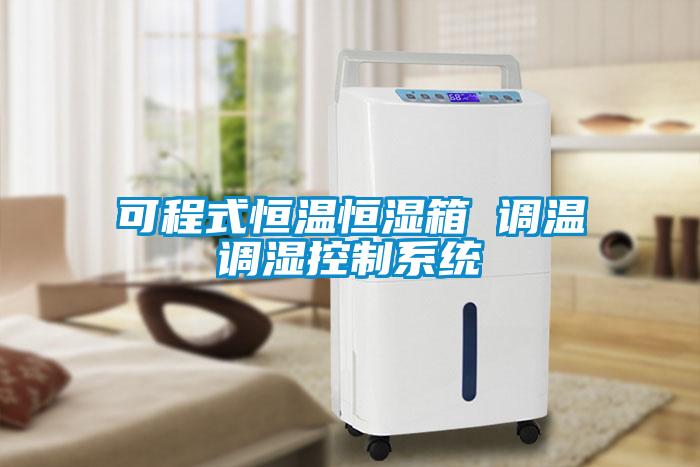 可程式恒溫恒濕箱 調溫調濕控制系統(tǒng)