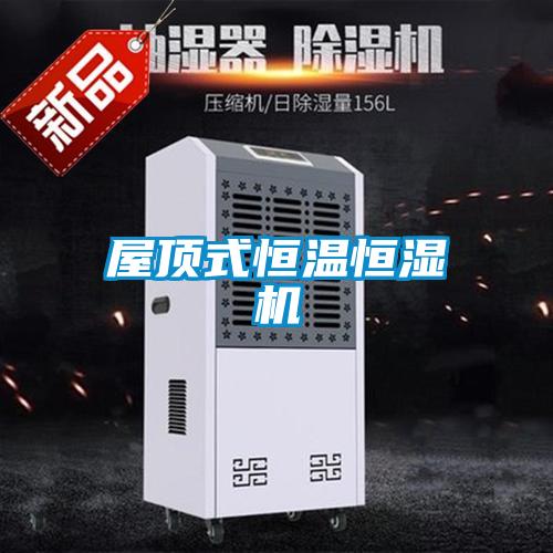 屋頂式恒溫恒濕機(jī)