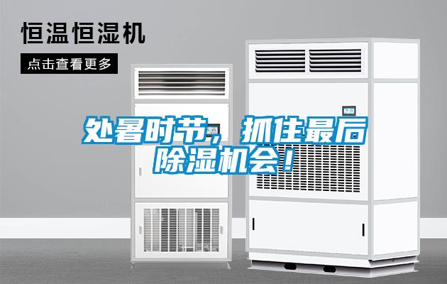 處暑時節，抓住最后除濕機會！
