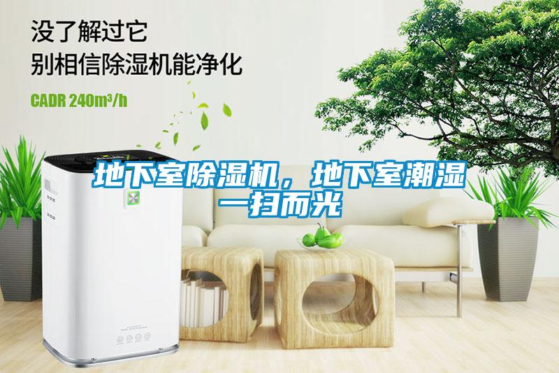 地下室除濕機，地下室潮濕一掃而光