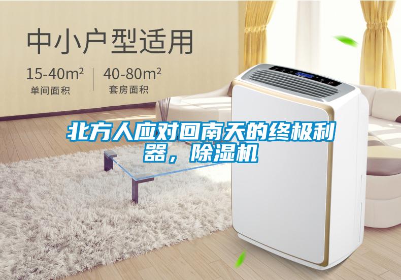 北方人應對回南天的終極利器，除濕機